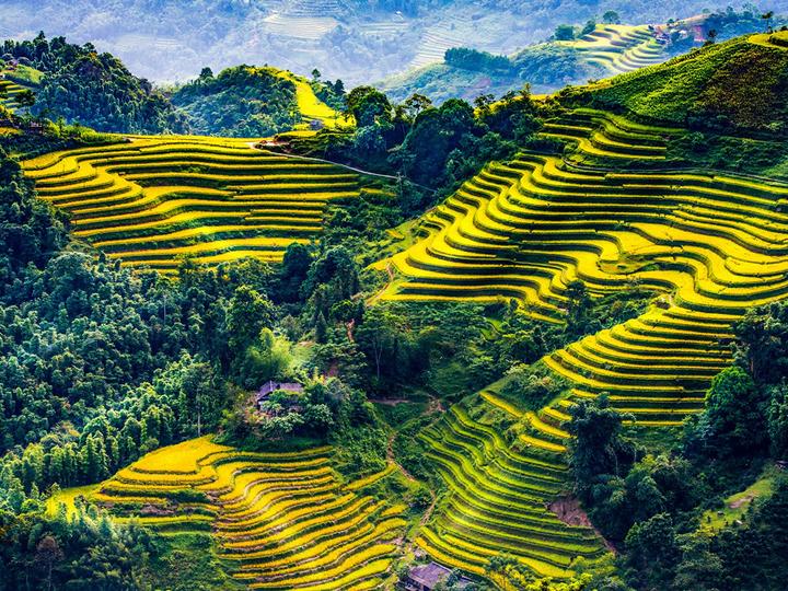 Xu hướng 1 người vừa mua Labubu giá: Hotspot Matrix tiết lộ bí quyết video viral