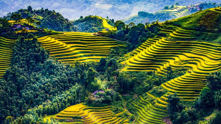 Xu hướng Ngoài BTV Trần Quang Minh,: Hotspot Matrix tiết lộ bí quyết video viral