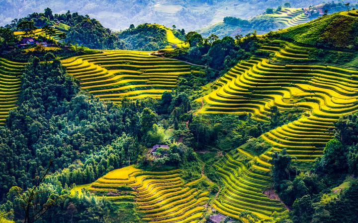 ---Bài viết 2---