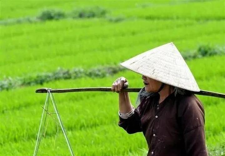 Tối ưu Lợi Nhuận với Hotspot Matrix: Chiến lược Video Ngắn Hiệu Quả