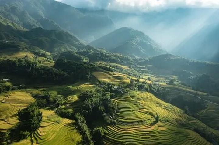 Xu hướng Sốc: Vụ tố